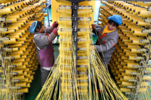 統計データで見る中華人民共和国建国後 70年間における経済社会発展の飛躍　その⑤