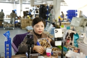 春節に再燃する中国のペット経済　オンラインもオフラインも消費ブーム.jpg