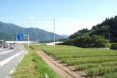 持続可能な農業目指し長野「田切農産」が切り開いた道.jpg