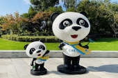 中国で暮らす１人の日本人として感じる第３回輸入博開催の喜び.jpg