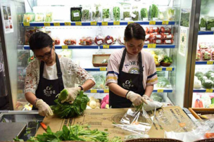 大陸部から香港へ　野菜出荷の旅