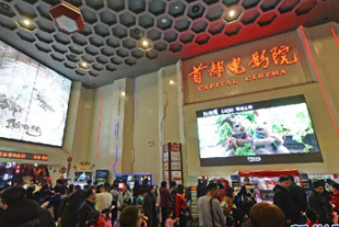 3つのポイントから分析 中国映画市場