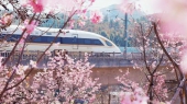 FOREIGN1775119183423YC7ZYB6YKU.jpg