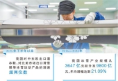 FOREIGN1770347632431WY42G85T4Q.jpg