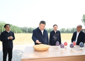 FOREIGN178235734562996SWZ0PDTC.jpg
